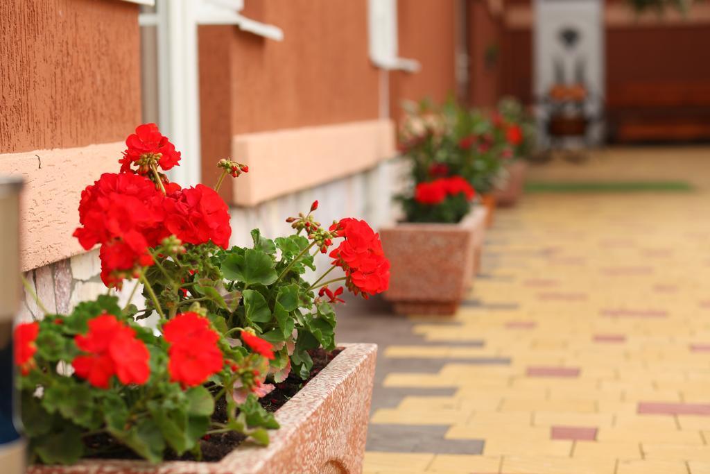 Mirage Hotel Berehove (Transcarpathia) Exterior foto